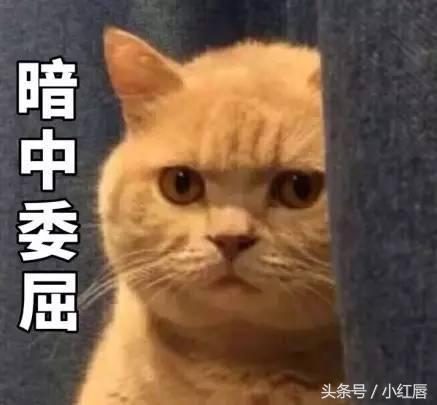 懒人美妆用品三合一,懒人美妆必备100种