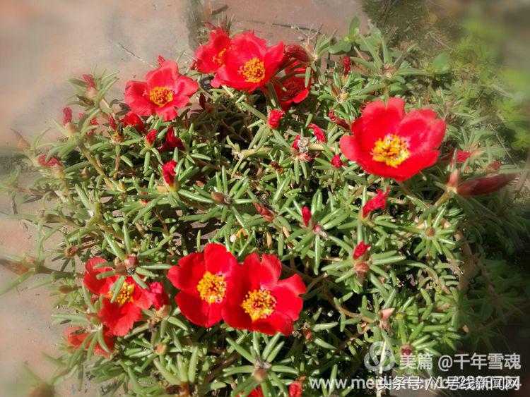 永远的余子店——文/刘宏冰