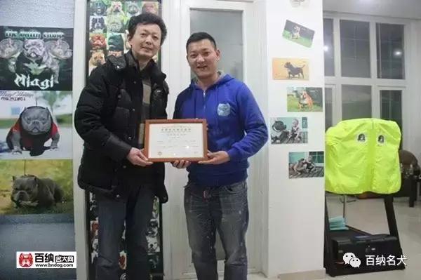 佳犬需近赏，上海包子恶霸犬舍再造围观！