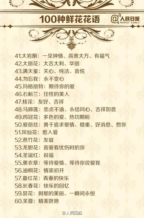 各种鲜花花语介绍大全简短,鲜花介绍花语大全简短一点