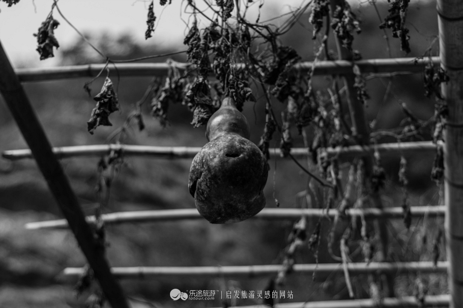 跟着镜头领略震撼心灵的景色,跟随镜头观人文与美景