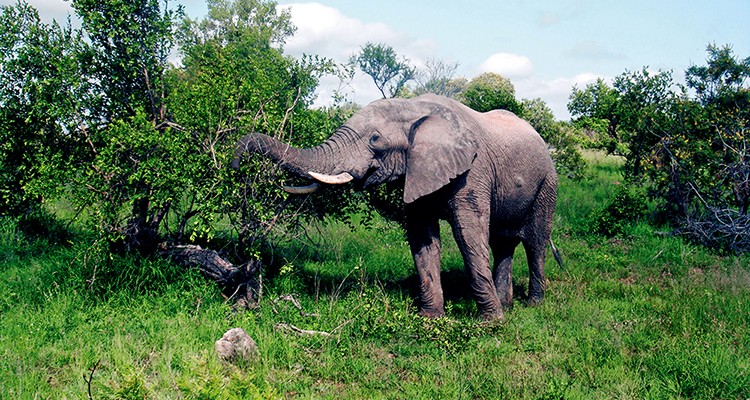 西双版纳从下飞机开始的攻略,进入西双版纳的视频