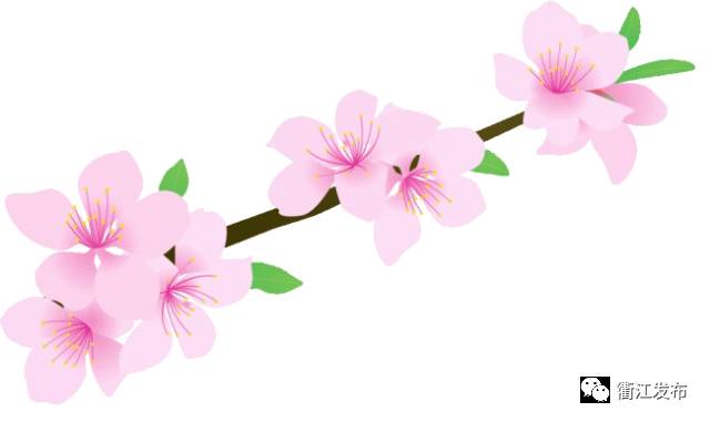 欣赏三生三世十里桃花美景,带你看风景三生三世十里桃花