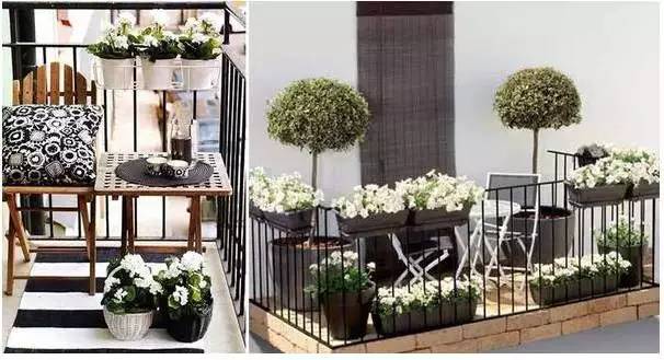 邛崃市新闻公众号,邛崃新闻头条官方网站