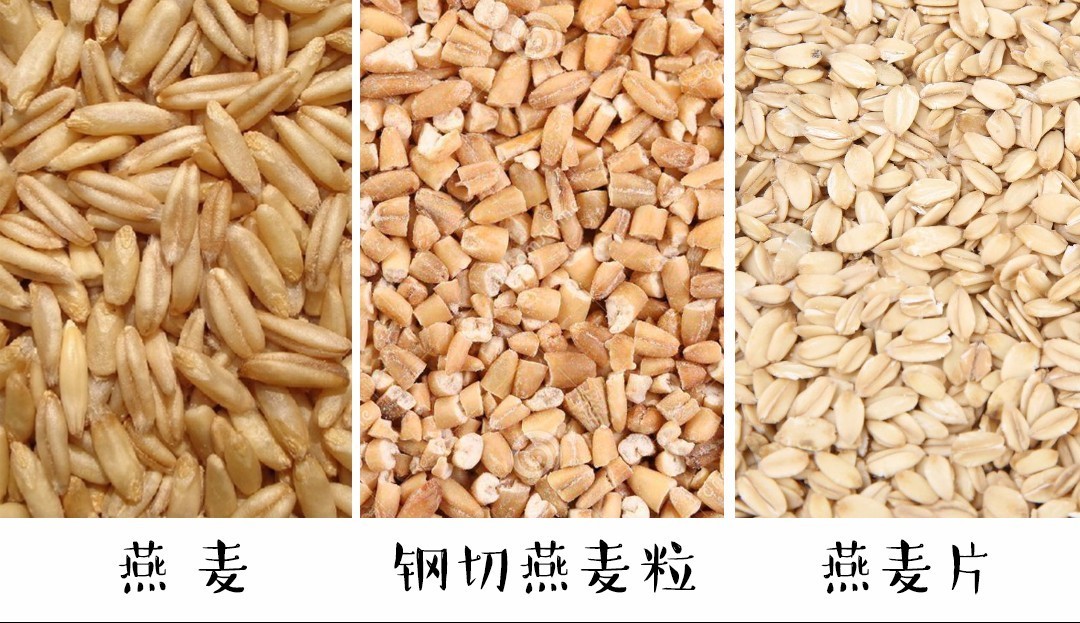 燕麦片每天吃多少才可以减肥呢,什么时候吃燕麦片减肥效果最好