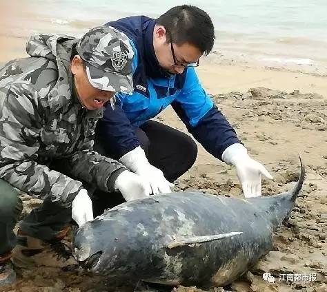 疼！一个铁钩，钩住的是全人类的的心