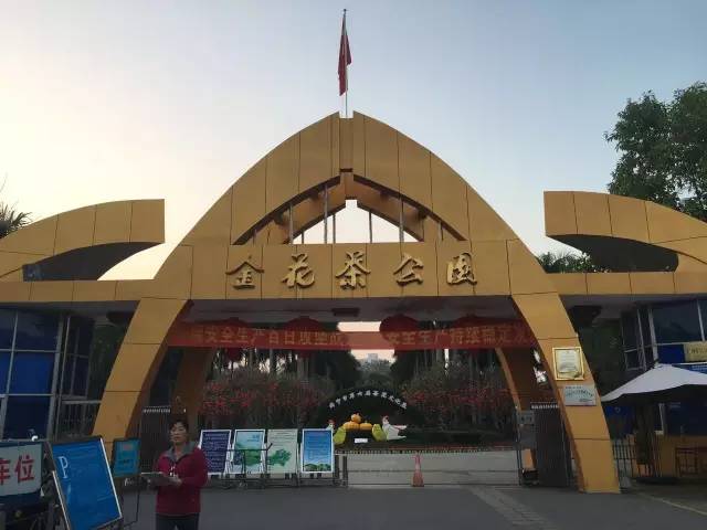 南宁游玩踏青攻略路线推荐,南宁春游赏花攻略图