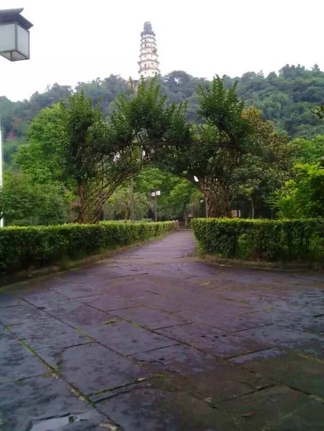 宜宾柏溪城中央健身房私教价格,宜宾最高端的健身房