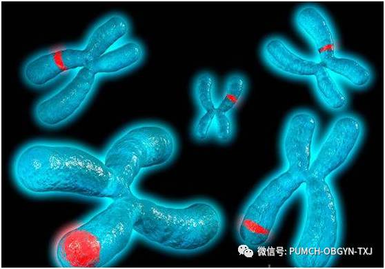 蜻蜓悄然立叶上：流产及背后的凄美故事