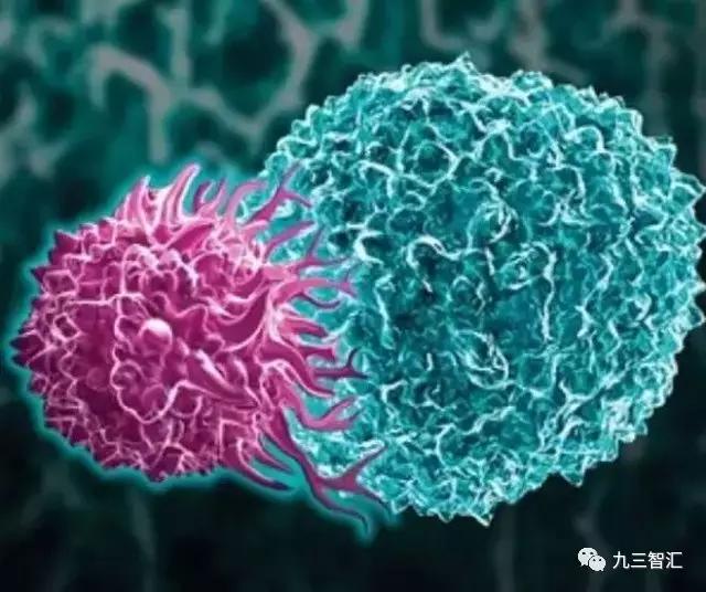 张明徽教授谈免疫与癌症治疗,张明徽的细胞免疫治疗靠谱吗