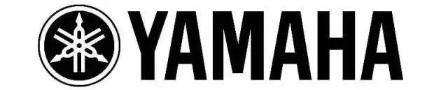 放眼四面八荒,玩跨界,舅服你——YAMAHA!