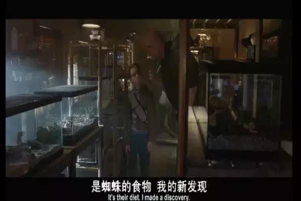 这是你们要的大长腿，备好纸巾，准备上下其手吧