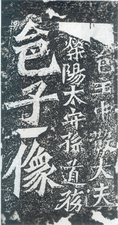 魏碑书论,论魏碑体