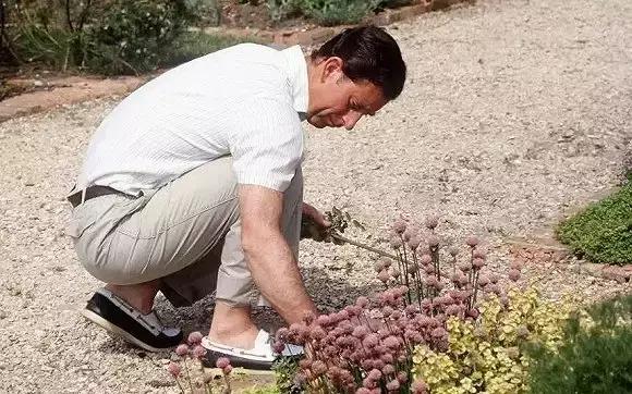 待位64年的王子，花30年将450万㎡荒地打造成世界最美庄园