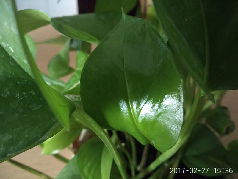 测评360n5,360n5好不好