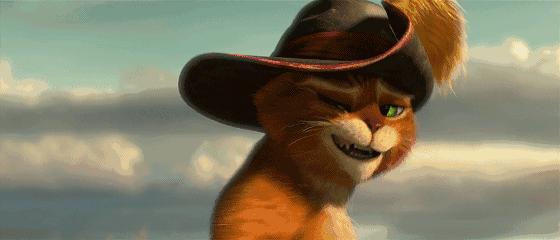 这些猫狗男女都爱看