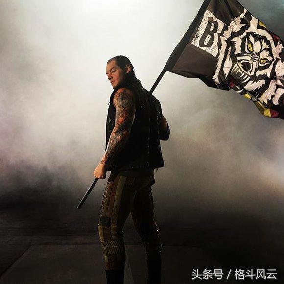 wwe布洛克疯狂时刻,wwe布洛克刚出道