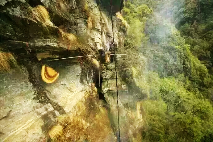 老挝街边的野生蜂蜜,老挝原始森林中纯天然野生蜂蜜