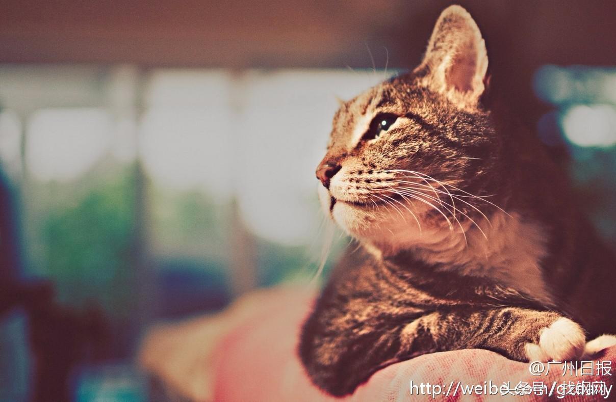 钢材销售员的一天，简直太形象了！笑喷……