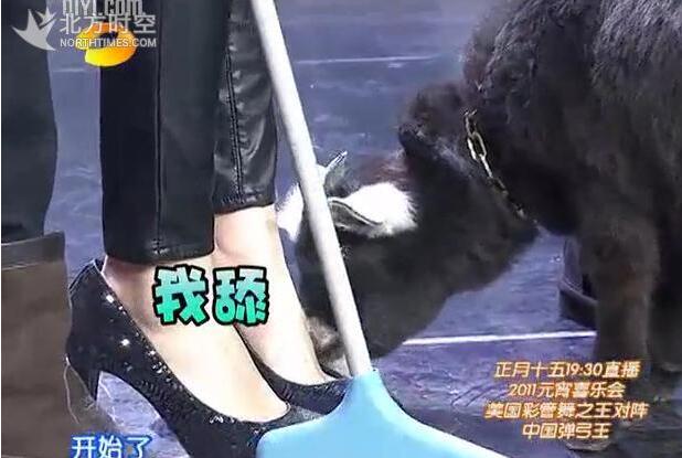 三生三世十里桃花杨幂身边的丫鬟,三生三世十里桃花杨幂的弱点