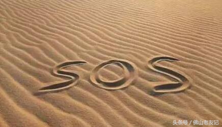 强大的生存技能,野外的生存技能