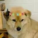 万事屋时光机开启,穿越回去看看一年前的你