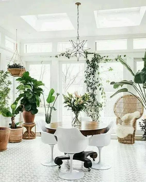 美丽的阳光房,美丽的阳光房子装修图片欣赏