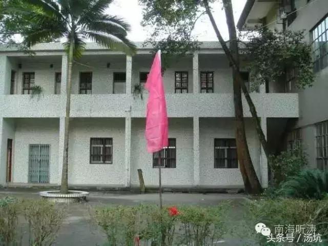 第二故乡乡愁,第二故乡情浓浓