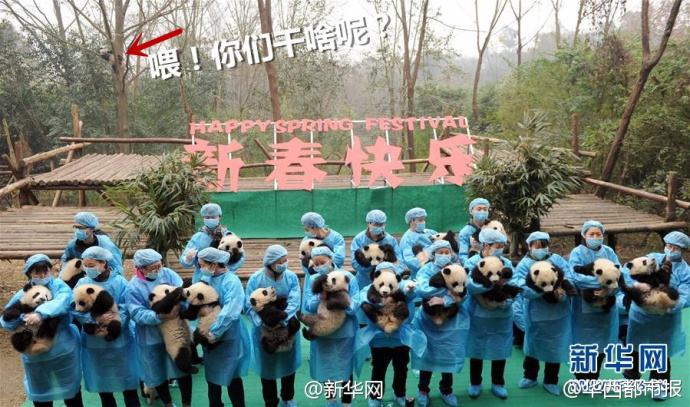 抱大腿暴富后续,抱大腿走上人生巅峰