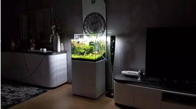 坏水质,草缸水质都要注意哪些