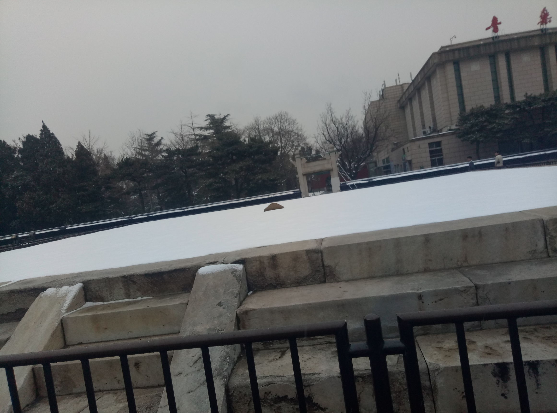 中山公园雪后图片,晚上的中山公园真是美极了