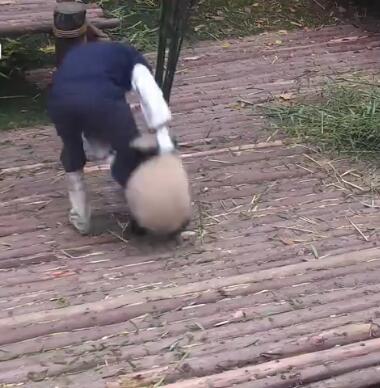 中国十大最火的外国网红,抖音百万网红姐弟抱大腿