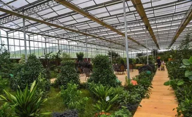 西安市内半日的小众绝佳去处,西安往东好玩儿的景点