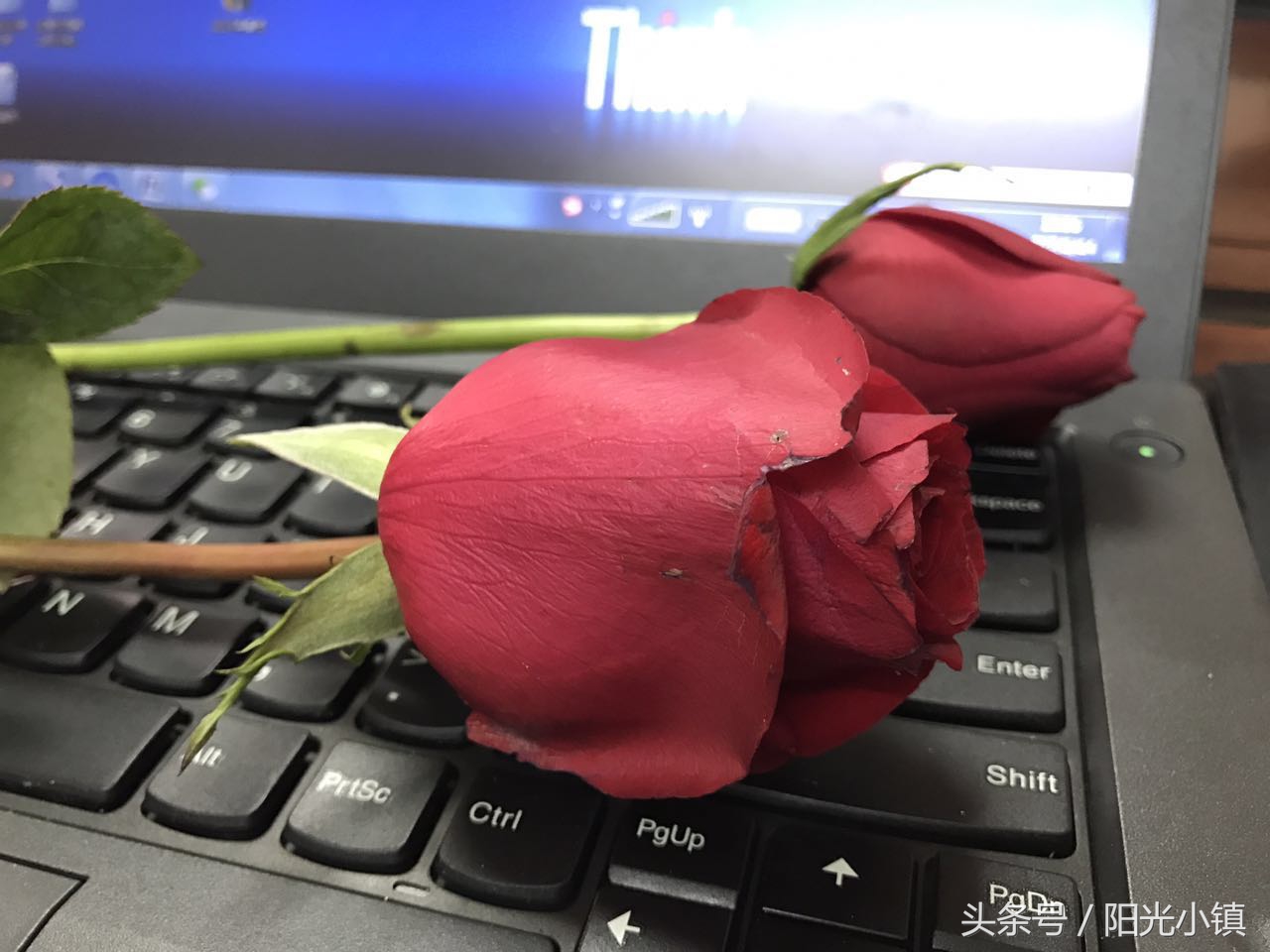 五味杂陈的流年——我艰难的2014年5月