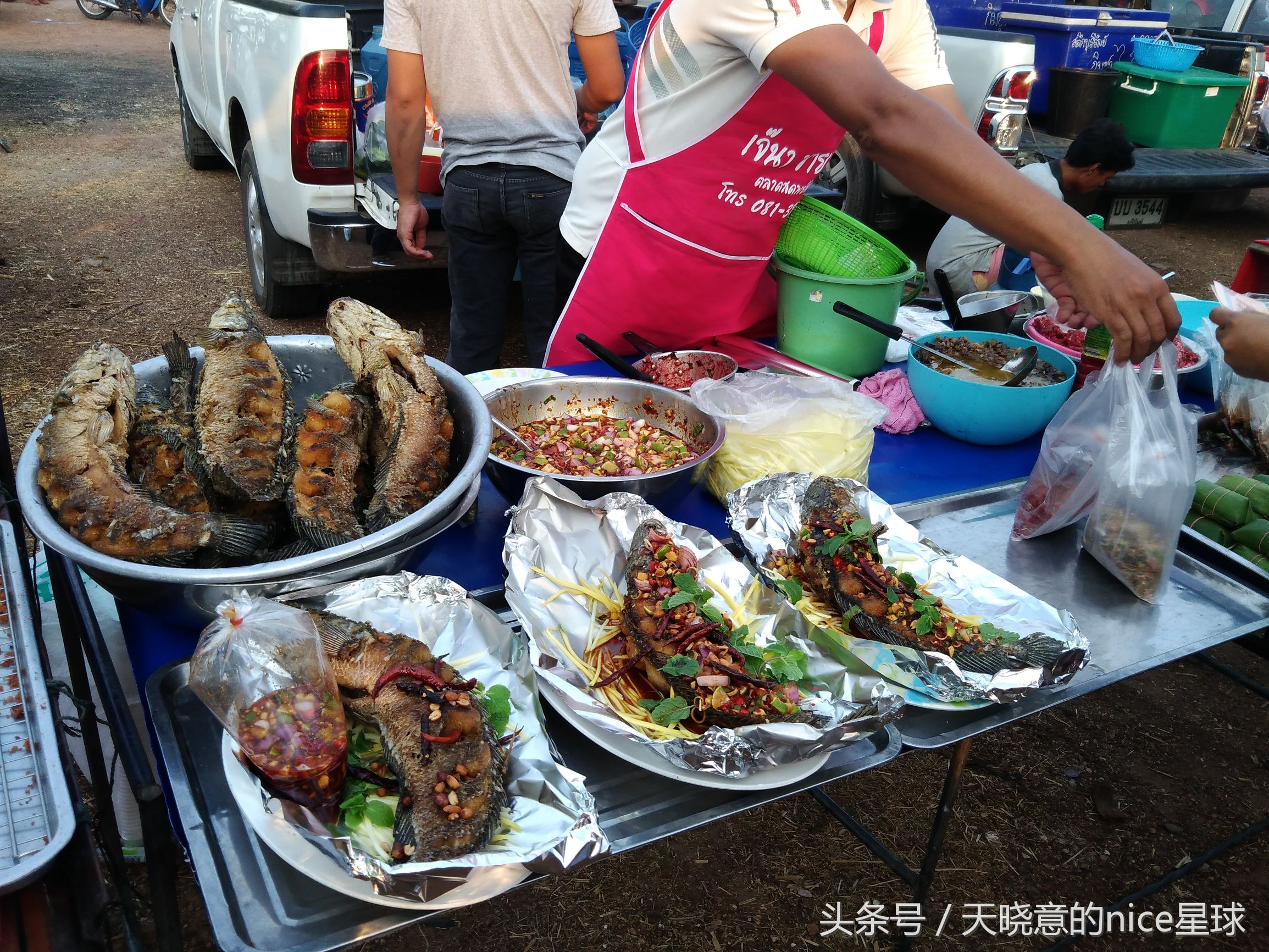 泰国大象旅行记,泰国旅游跟大象近距离接触