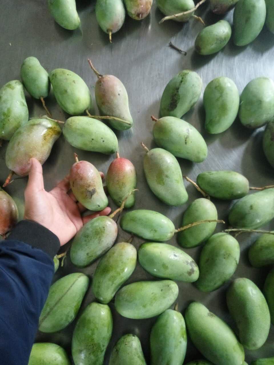 越南大青芒的最佳吃法,越南大青芒的味道