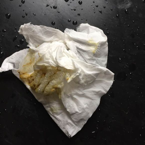 幼犬哈士奇5个小时拉三次,幼犬哈士奇需要注意什么