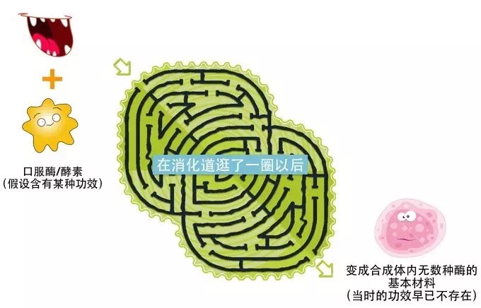 喝了酵素得拉几次,便秘如何正确饮用酵素