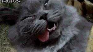 张家口电视台1套新闻回看,张家口新闻手机台