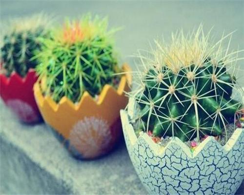 孕期防辐射这几样电器要远离,孕妇要避免什么辐射电器