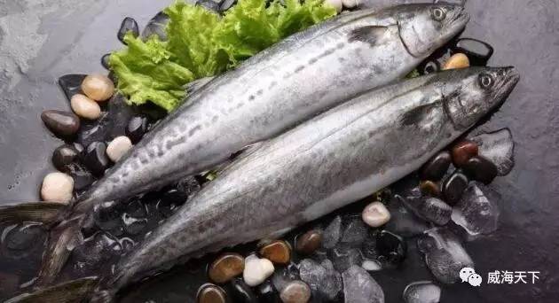 威海的海鲜什么时候是旺季,威海应季海鲜