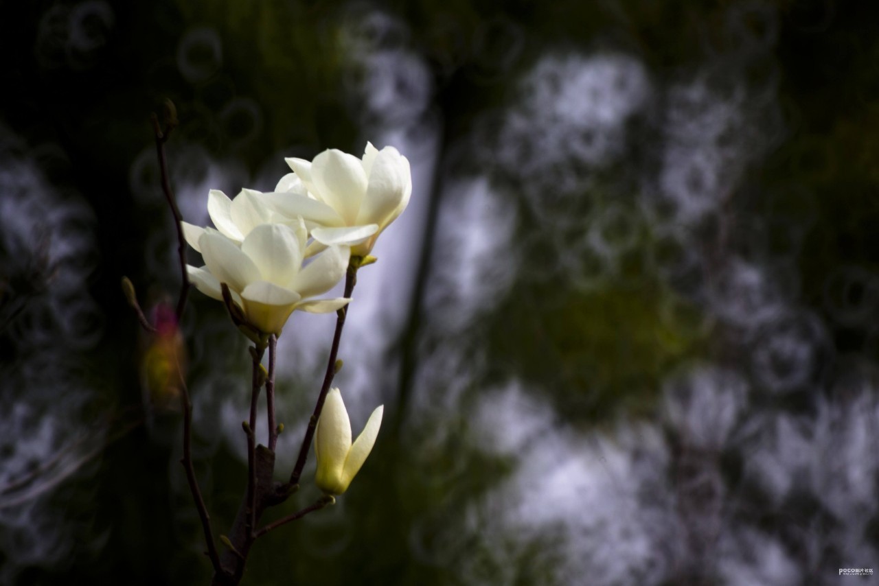 元曲春天,宋词里的春天意境深远