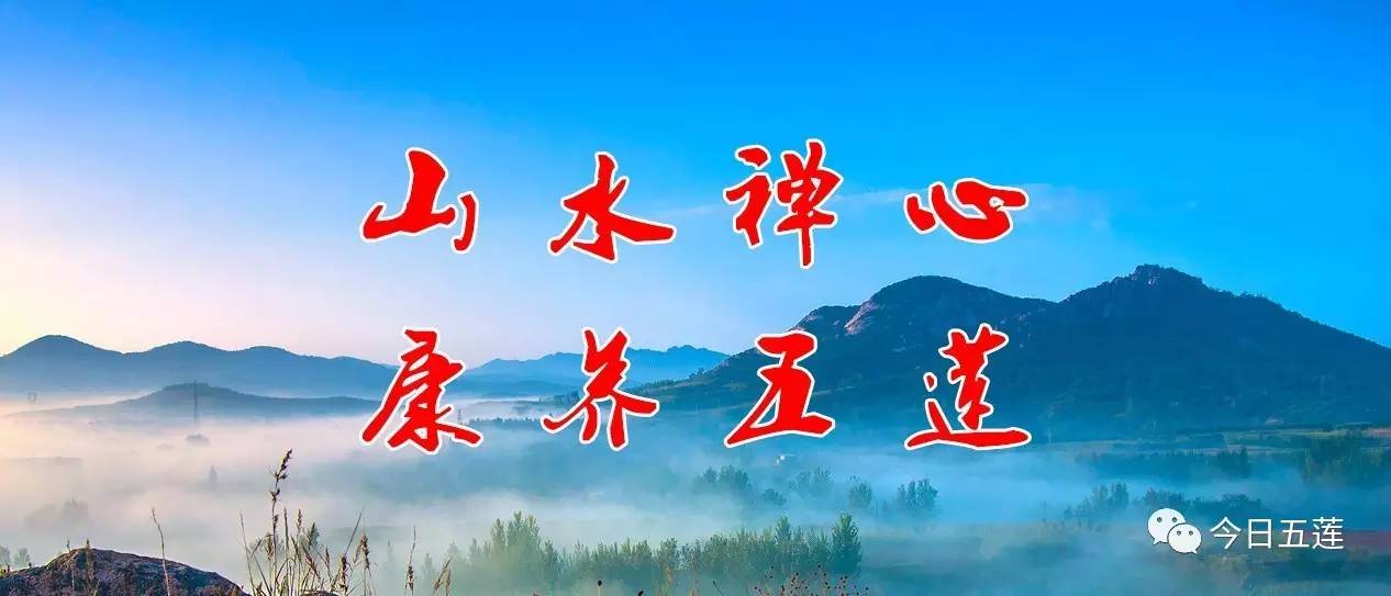 1981—1990年出生的五莲人注意！这件事再不去办就麻烦了……