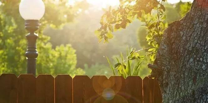 世界拉丁舞音乐节奏感强的,一个动感十足的舞蹈