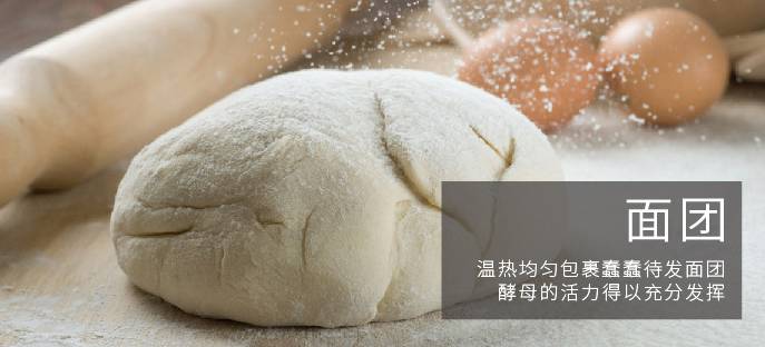 实用蒸锅推荐,有了这款锅