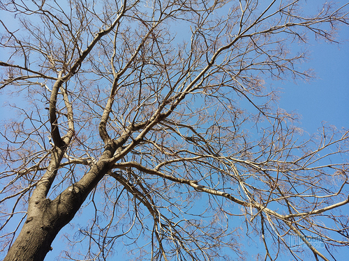 美图t8s测评视频,美图t8自拍手机