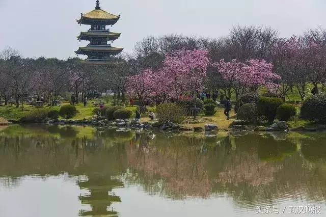 去绿道最好的方法,走东湖绿道最佳路线