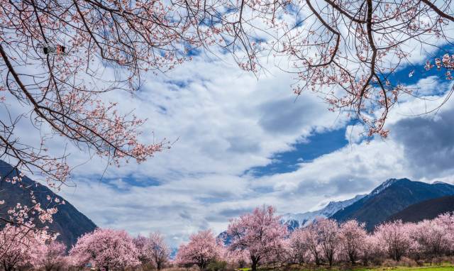 郑州到拉萨10天旅游攻略及花费,郑州到拉萨的沿途城市