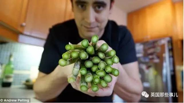 在苹果片上“种”出人耳？！这不是恐怖故事，是脑洞大开的医学新方向啊喂！