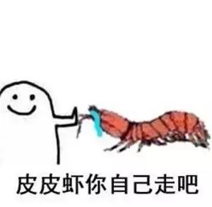 皮皮虾你走不走原版,皮皮虾你走不了原版